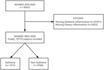 Association between dietary inflammatory index and gallstones in US adults